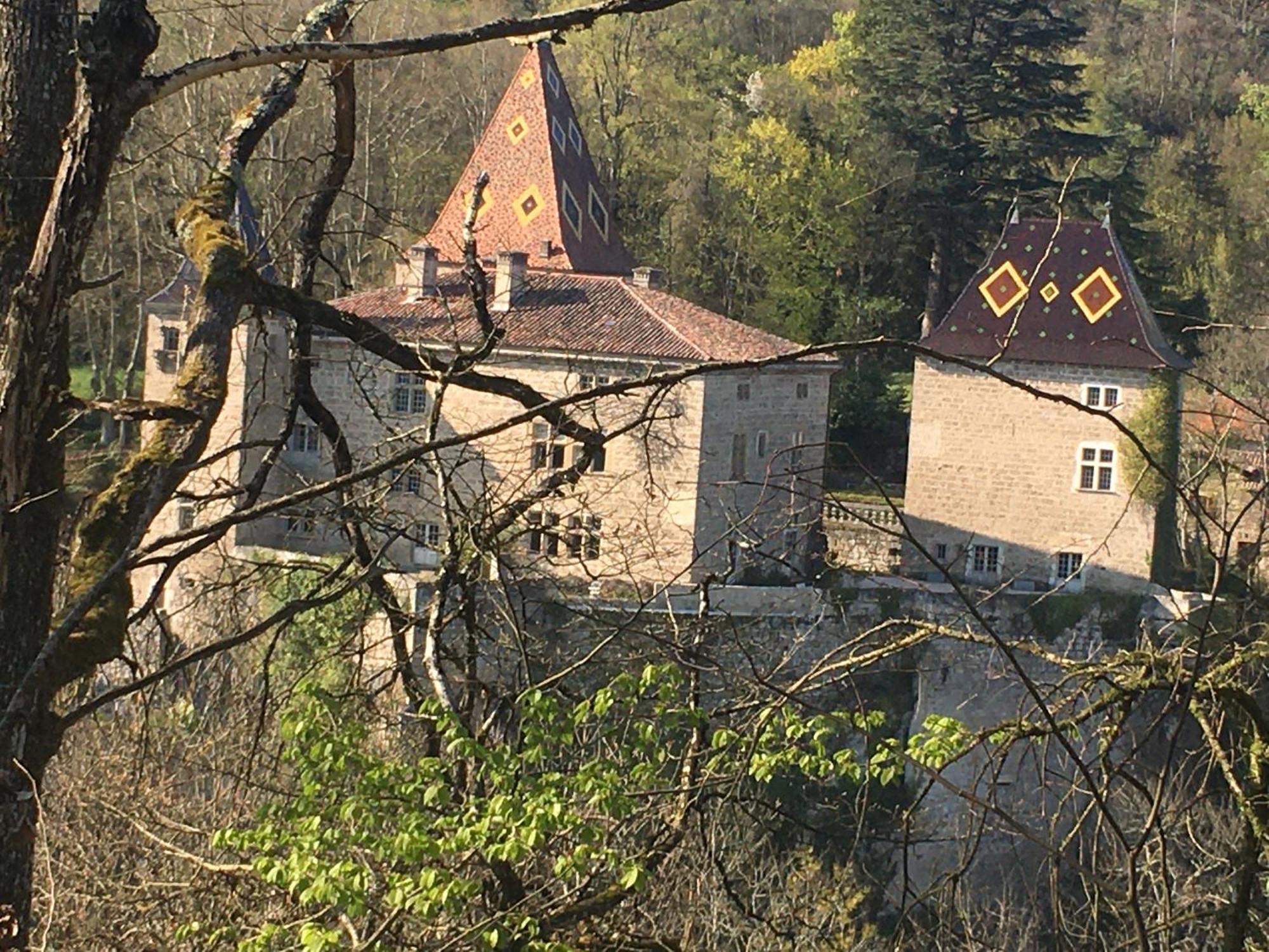 Vercors En Vert , Chambres D'Hotes De Charme Saint-Romans  Exterior photo